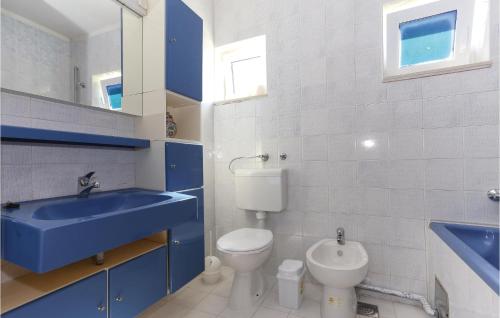 a bathroom with a blue sink and a toilet at Nice Apartment In Stanici With 2 Bedrooms And Wifi in Tice