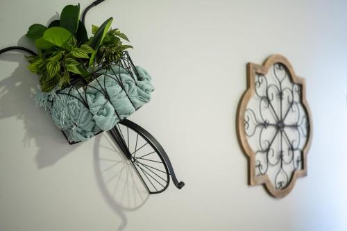 a bike with a basket on the wall next to a mirror at French Quarter Q in New Orleans