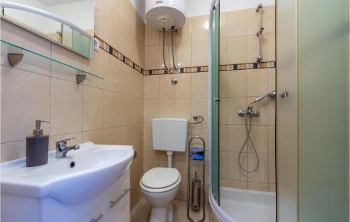 a bathroom with a toilet and a sink and a shower at Awesome Apartment In Svinisce With Kitchenette in Svinišće
