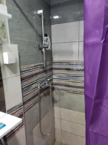 a shower in a bathroom with a purple curtain at Prenoćište Inđija Hrvić in Inđija