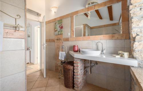 ein Bad mit einem Waschbecken und einem Spiegel in der Unterkunft Pet Friendly Home In Vosteni With Outdoor Swimming Pool in Vošteni