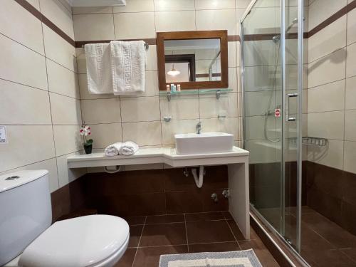 a bathroom with a toilet and a sink and a shower at Loukas Apartments On The Waves in Tragaki