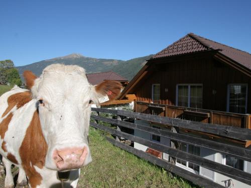 a brown and white cow standing next to a fence at Chalet in St Margarethen with sauna near ski area in Sankt Margarethen im Lungau