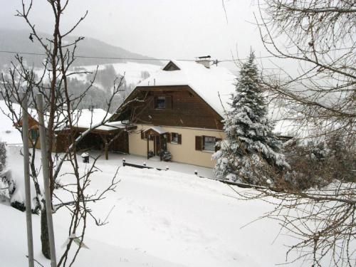 Holiday home in Diex in Carinthia with sauna