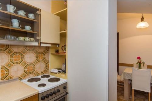 Kuchyňa alebo kuchynka v ubytovaní Apartment Tomisha