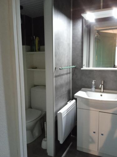 une salle de bain avec un lavabo et des toilettes dans l'établissement Appartement familial - 2 chambres, à Cauterets