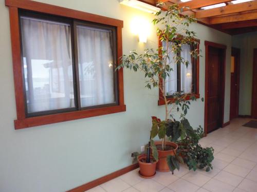a room with potted plants on the wall and a window at Hotel Austral Ushuaia in Ushuaia