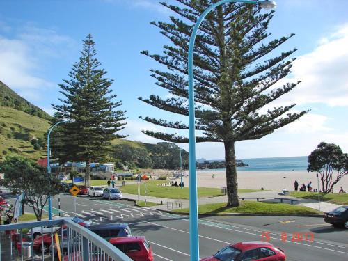 a view of a street with a tree next to the beach at Pavilion Beachfront Apartments in Mount Maunganui