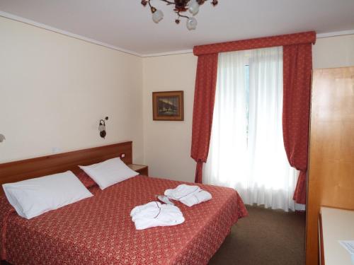 Фотография из галереи Hotel des Alpes в Мольвено