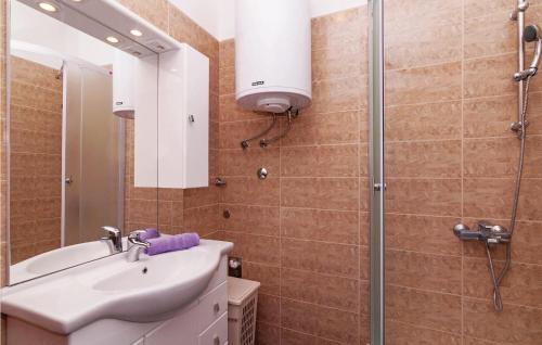 a bathroom with a sink and a shower at Nice Apartment In Ribnica-krusevo With 1 Bedrooms And Wifi in Anić