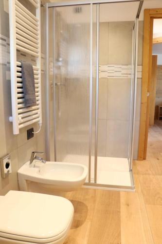 a bathroom with a shower and a toilet and a sink at Appartamenti Forhotel in Livigno