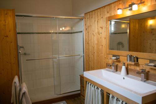 y baño con ducha, lavabo y espejo. en Château Valoux en Cadaujac