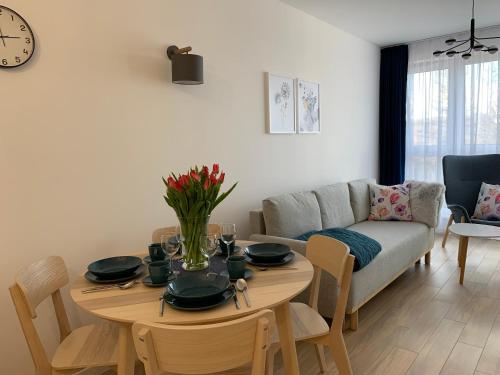 Foto de la galería de Apartamenty Bliska 33 en Bielsko-Biala