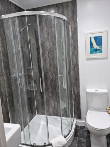 a bathroom with a shower and a toilet at Laston Mews in Ilfracombe