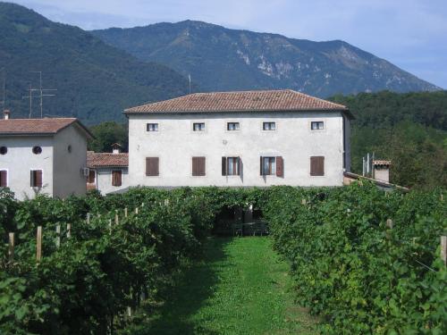 a large white building in a field of grapes at Agriturismo Al Col in Follina