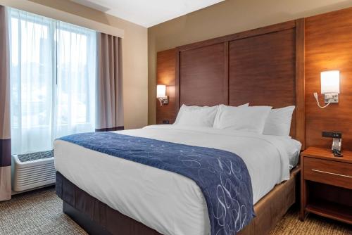 a hotel room with a large bed and a large window at Comfort Suites in Newnan
