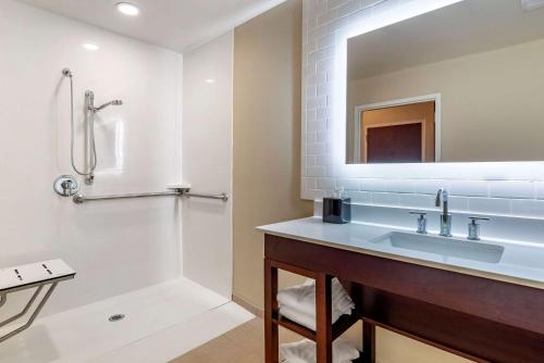 a bathroom with a sink and a shower at Comfort Suites in Newnan