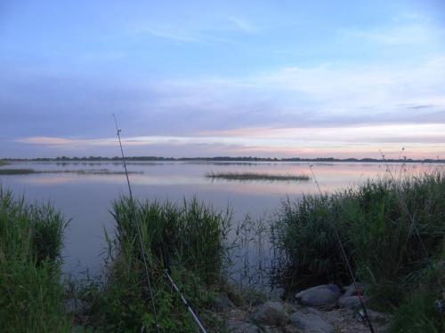 a large body of water with grass in the foreground at Hotel und Restaurant Am Peenetal in Liepen