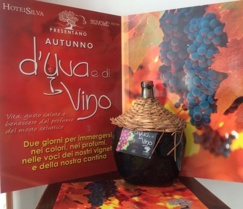 a bottle of wine and a sign with a bunch of grapes at Hotel Silva in Alberobello