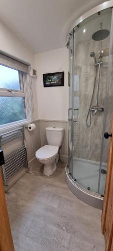 a bathroom with a toilet and a glass shower at Coal Office Aberlour in Aberlour