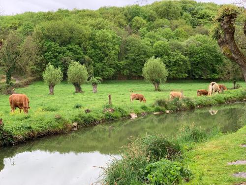 Un paisaje natural cerca of the bed and breakfast