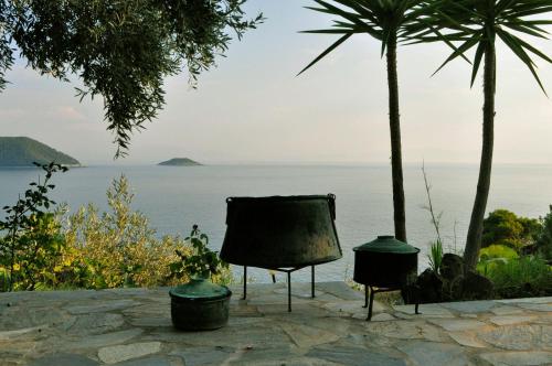 a chair sitting next to the ocean with palm trees at Nemesis in Neo Klima