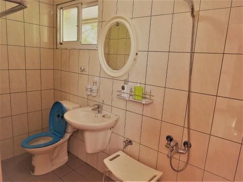 a bathroom with a toilet and a sink and a mirror at 樂野仙蹤 in Alishan