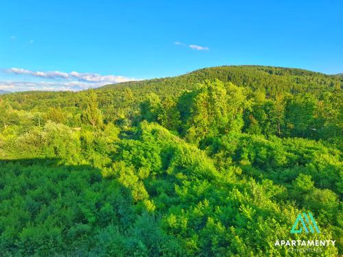 an aerial view of a lush green forest at APARTAMENTY SZYNDZIELNIA ROWERY GÓRY Spacery in Bielsko-Biala