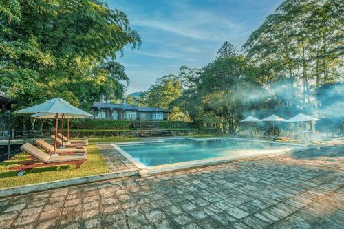 a swimming pool with two loungers and an umbrella at The Lavender House by Reveal in Kandy