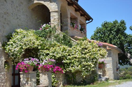 Bellavista – Photos 4