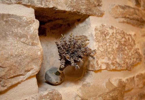 a vase with a plant sticking out of a rock at Luxury Room Kokola in Split