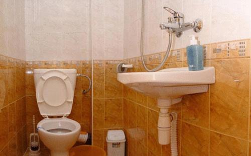 バンスコにあるDamianka Guest Houseのバスルーム(トイレ、洗面台付)