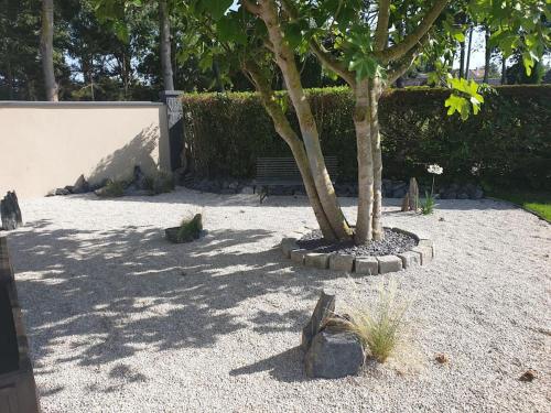 a tree and a bench in a park at Côté Mer - Jardin privatif à 200m de la plage in Ver-sur-Mer