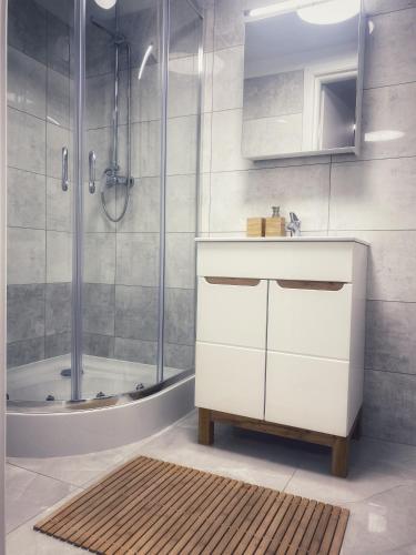 y baño con lavabo y ducha. en Komfortowe Apartamenty w Kamienicach - Sercu Miasta Dusznik Zdroju en Duszniki Zdrój
