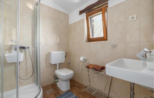 a bathroom with a toilet and a sink and a shower at Lovely Home In Vosteni With Outdoor Swimming Pool in Vošteni