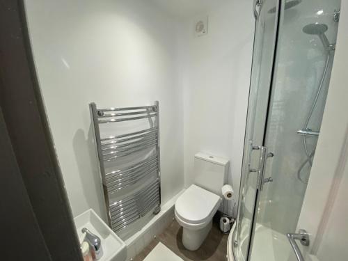 uma casa de banho com um WC e uma cabina de duche em vidro. em Silver Stag Properties, 4 BR Property em Newhall