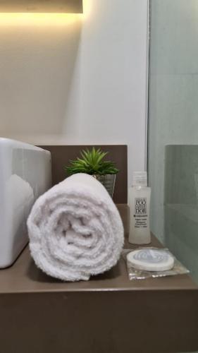a bathroom counter with a towel and a bottle of soap at Conforto e sofisticação à 500m da Vila Germânica in Blumenau