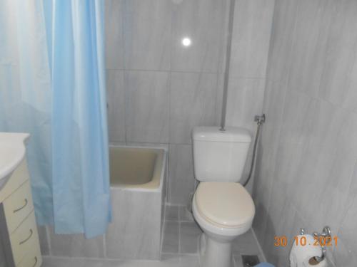 a bathroom with a white toilet and a blue shower curtain at Melios Rooms in Petalidhion