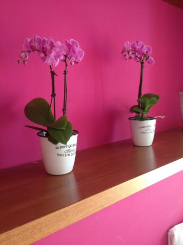 two potted plants sitting on a shelf against a pink wall at Hotel Benacus in Lazise