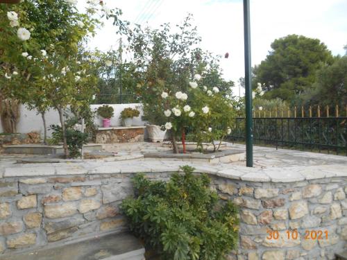 a stone retaining wall with trees and white flowers at Melios Rooms in Petalidhion