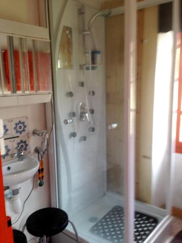 une salle de bain avec douche et lavabo dans l'établissement Maison atypique près de La Caillère-Saint-Hilaire avec jardin 500 m², à Mérigny