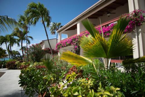 a house with pink flowers on the side of it at Antigua Village Beach Resort in Saint Johnʼs