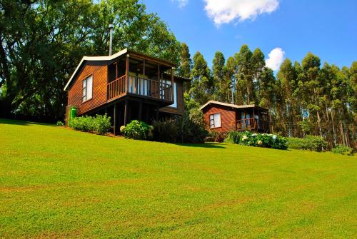 Taman di luar Forest View Cabins
