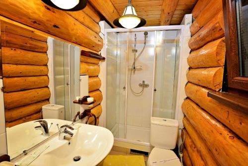 a bathroom with a toilet and a sink and a shower at Complex Stejarul in Tuluceşti