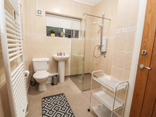 a bathroom with a shower and a toilet and a sink at Hillcrest in Wrexham