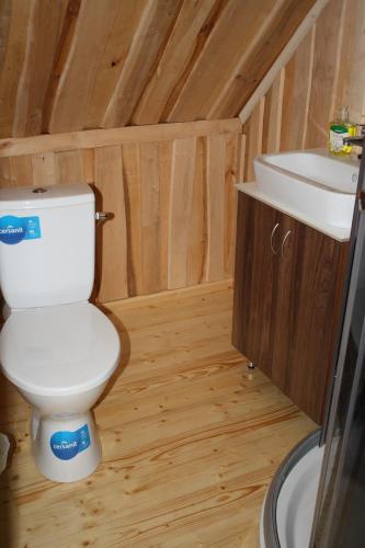 a small bathroom with a toilet and a sink at Jaama Puhkemaja in Raigastvere