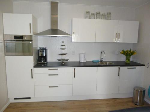 Virtuvė arba virtuvėlė apgyvendinimo įstaigoje De Langenlee