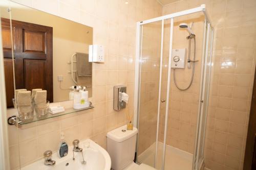 uma casa de banho com um chuveiro, um WC e um lavatório. em The Silver Cup em Harpenden