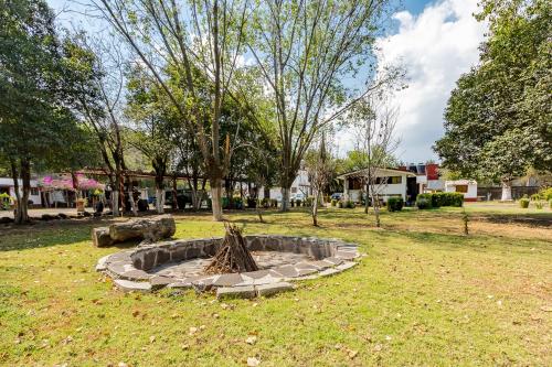 a tree sitting in a circle in a park at Ayenda Mesón del Río in Tepotzotlán