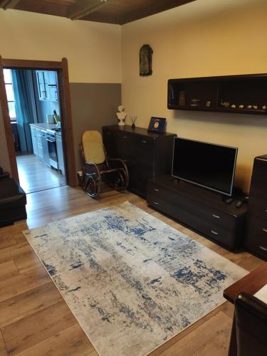 a living room with a television and a rug at Apartament w Supraślu in Supraśl